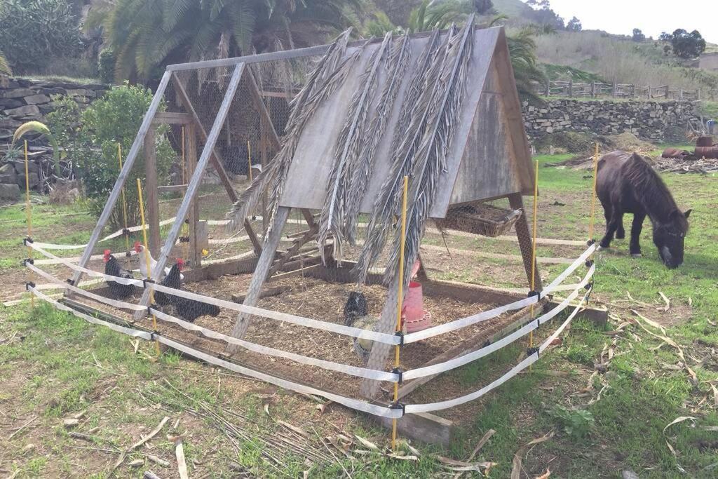 Casita Bioclimatica En El Campo Apartamento Arucas Exterior foto